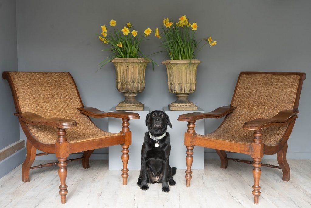 The planter’s chair— grounded in history, poised in style
